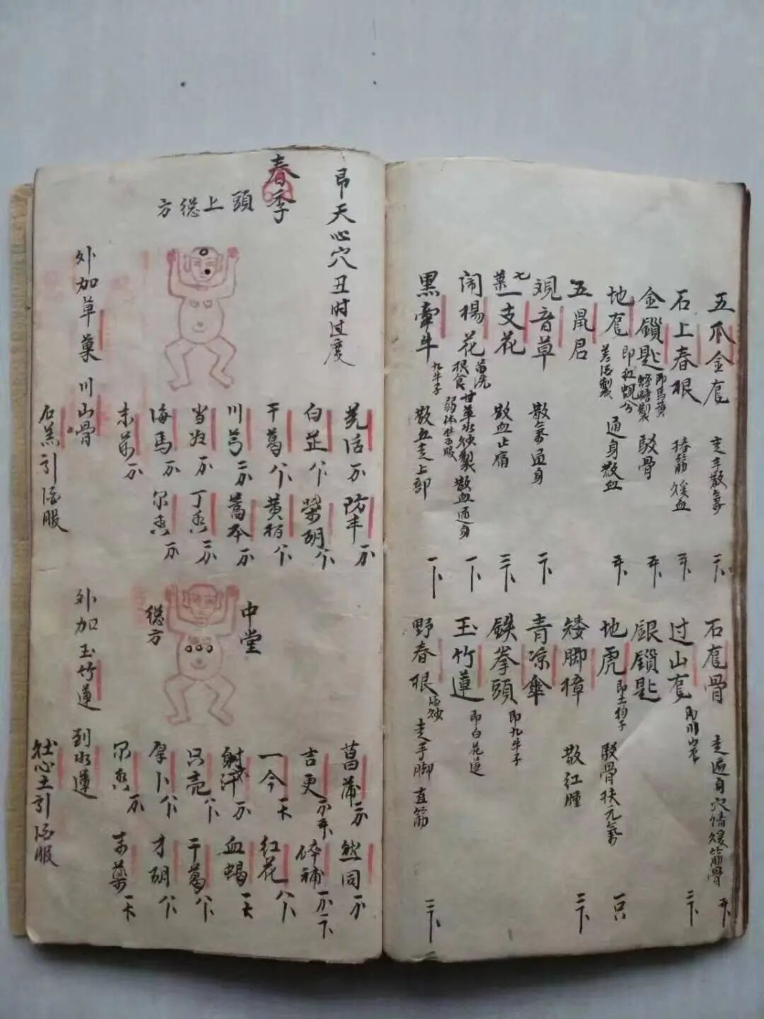 清代名师手抄秘本《大打丸药驳骨总方》百道跌打正骨良方(7)