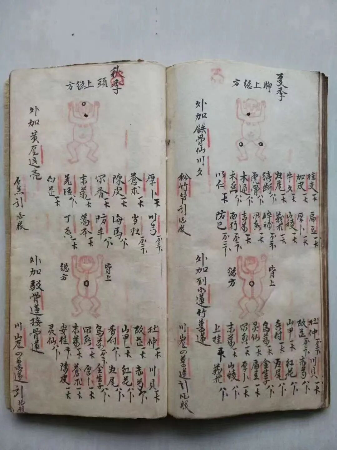 清代名师手抄秘本《大打丸药驳骨总方》百道跌打正骨良方(6)