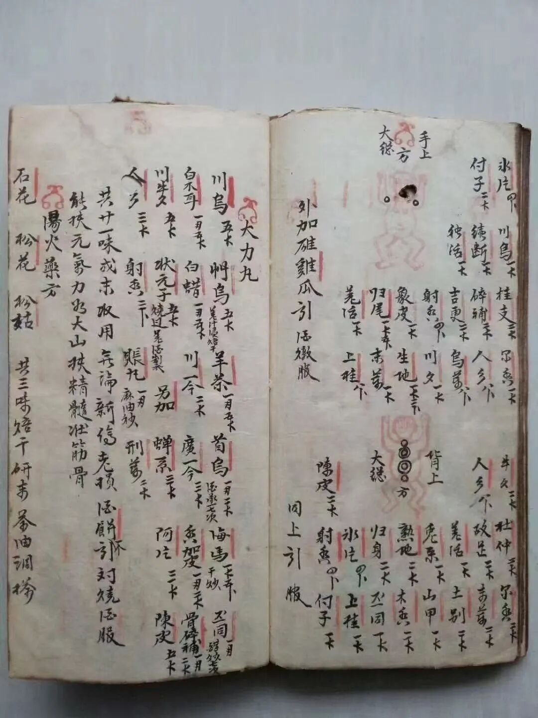 清代名师手抄秘本《大打丸药驳骨总方》百道跌打正骨良方(8)