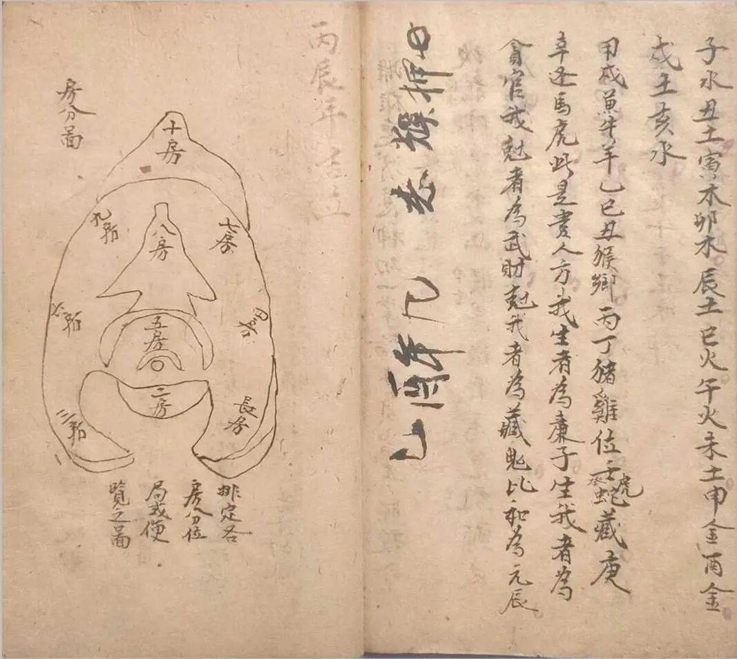 民国地师原稿《刘福华地理要诀》，收录房分断诀、五星点穴真传(10)