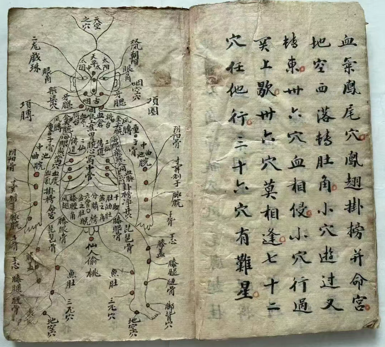 探秘中医跌打秘本:五百钱点解穴秘传(5) 探秘中医跌打秘本:五百钱点解穴秘传(5)